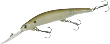 Longbill minnow