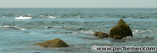 Coin de pêche : têtes de roche