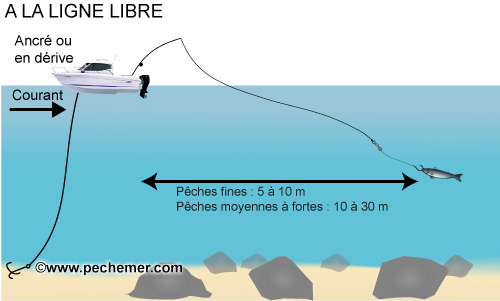 Pêche à la ligne libre