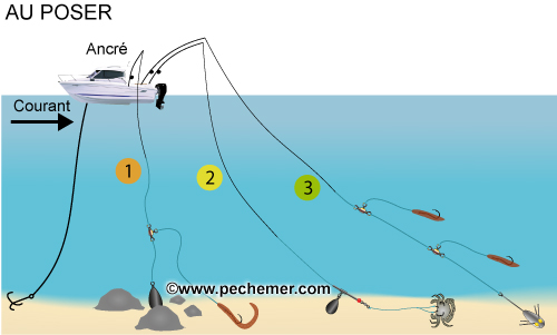 Pêche au poser (calée) en bateau