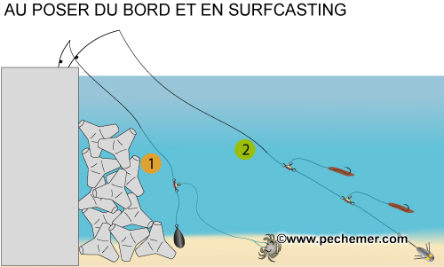 Pêche au poser du bord (surfcasting, digue)