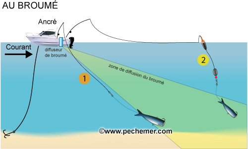 Pêche au broumé (sardine...)