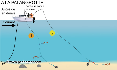 Pêche à la palangrotte (lignes fines)