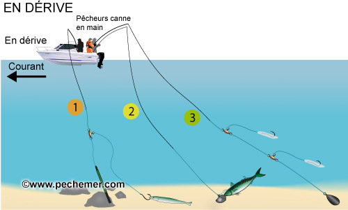 Pêche en dérive (vif, mort manié...)