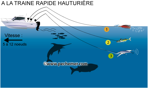 Pêche à la traine rapide hauturière