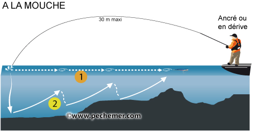 Pêche à la mouche en mer