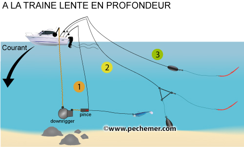 Pêche à la traine lente en profondeur