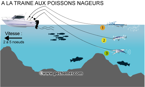 Pêche à la traine aux poissons nageurs